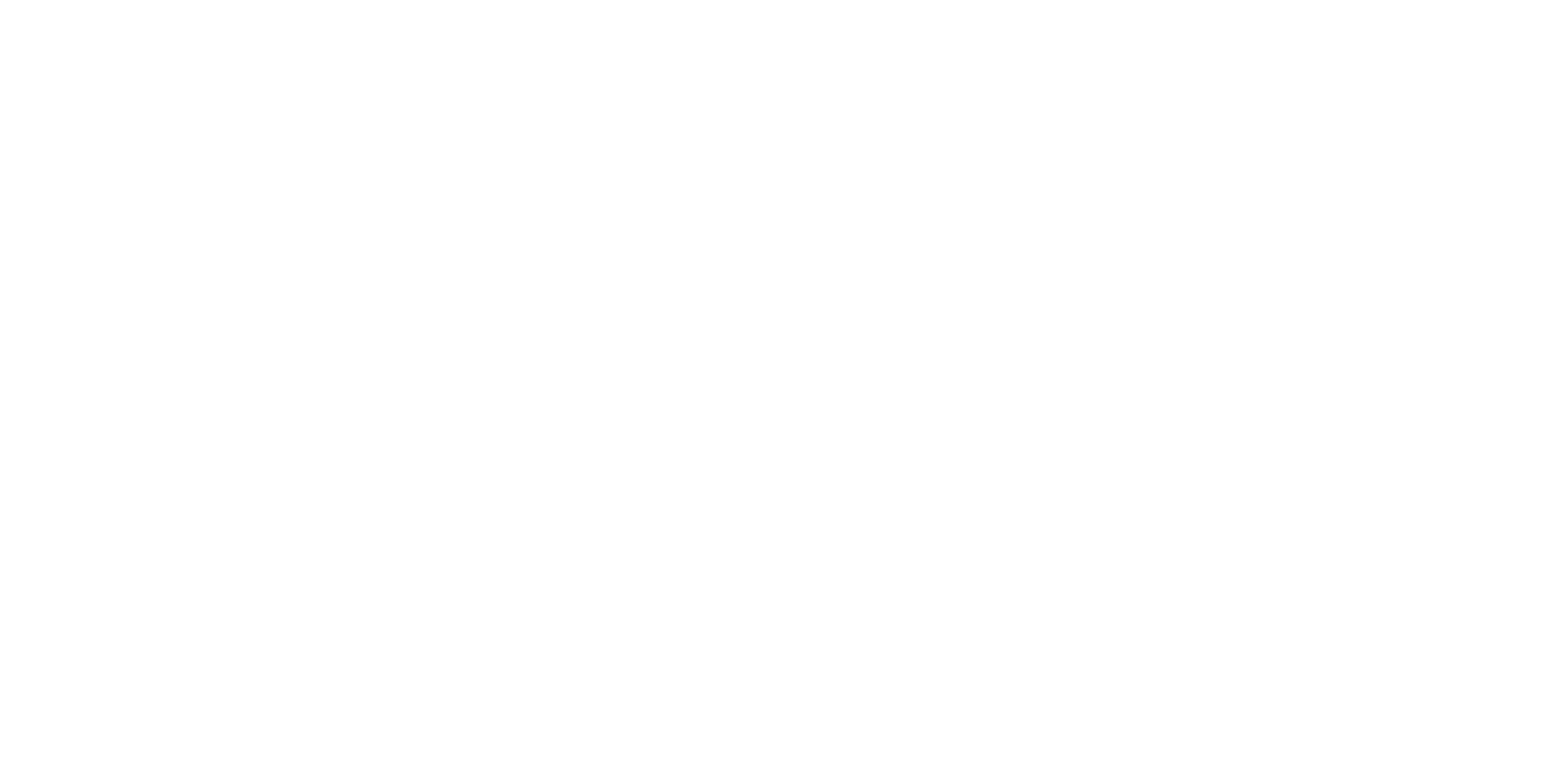 Fundacja Sztuka Obecna logo